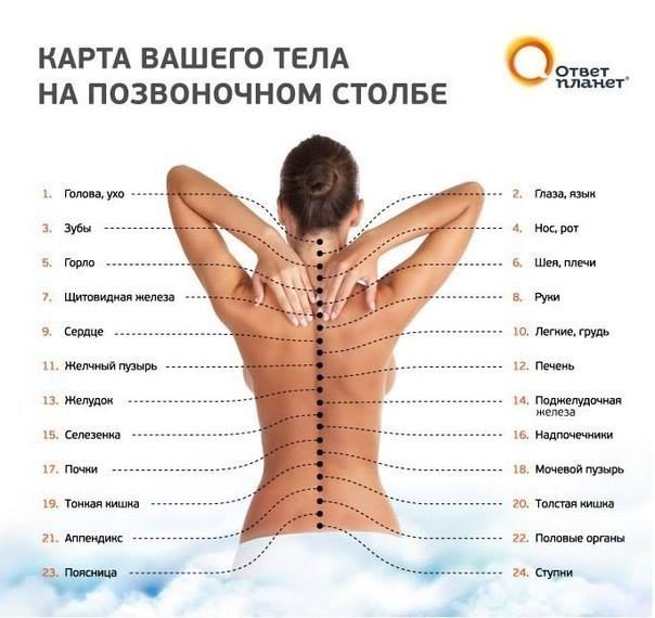 Карта на гръбначния стълб върху тялото Ви - оригинал на руски език