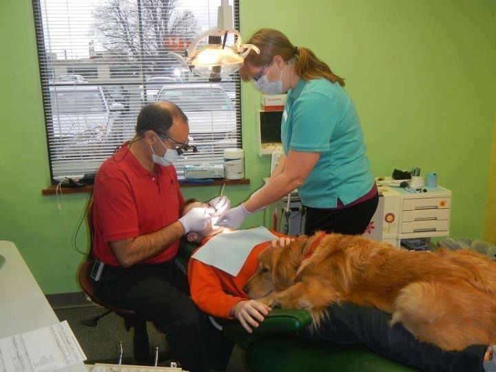 зъболекарят и кучето
